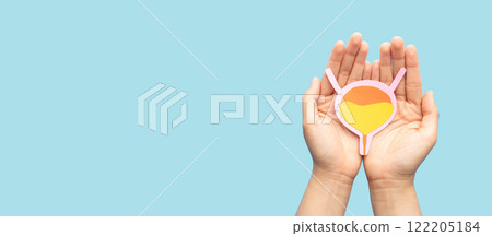 Hands holding bladder organ shape made from paper on light blue background. Awareness of bladder cancer, urinary tract infection, urinary incontinence and overactive bladder. 122205184