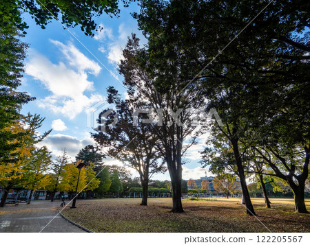 A refreshing park view on a clear autumn day A refreshing park view on a clear autumn day 122205567