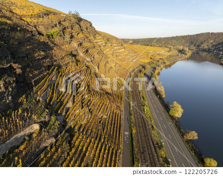 Vineyard terraces in Moselle Valley on Sunset time, Drone Aerial footage, Famous German Mosel Vine Region Moselle River 122205726