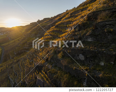 Vineyard terraces in Moselle Valley on Sunset time, Drone Aerial footage, Famous German Mosel Vine Region Moselle River 122205727