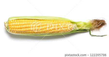 Fresh corn on white background Fresh corn on white background 122205786