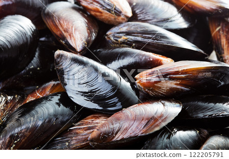 Fresh raw sea mussels 122205791