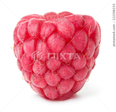 Raspberry. Raspberry isolated. Raspberry on white background. Raspberry. Raspberry isolated. Raspberry on white background. 122206153