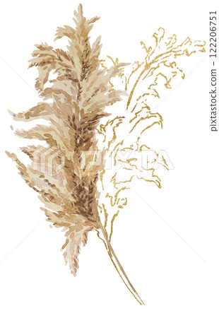 Watercolor and golden dried pampas grass, biege tropical wedding element, summer Bohemian illustration Watercolor and golden dried pampas grass, biege tropical wedding element, summer Bohemian illustration 122206751