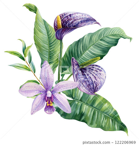 Paradise flower and palm leaves, eucalyptus. Tropical summer flowers painted watercolor, isolated exotic jungle bouquet. 122206969