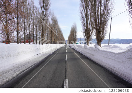 Poplar Tree Line, Iwamizawa City (Winter) 122206988