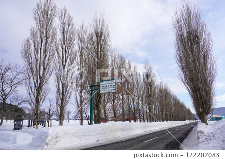Poplar Tree Line, Iwamizawa City (Winter) Poplar Tree Line, Iwamizawa City (Winter) 122207083
