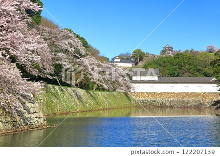 [Shiga Prefecture] Hikone Castle tower and moat with cherry blossoms in full bloom 122207139