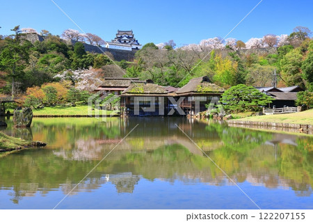 [Shiga Prefecture] Hikone Castle tower and Genkyuen Garden with cherry blossoms in full bloom 122207155
