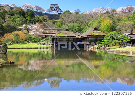 [Shiga Prefecture] Hikone Castle tower and Genkyuen Garden with cherry blossoms in full bloom 122207156