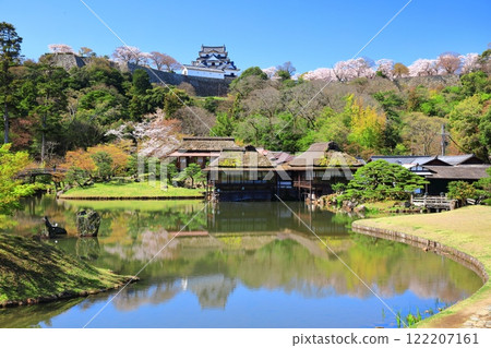 [Shiga Prefecture] Hikone Castle tower and Genkyuen Garden with cherry blossoms in full bloom 122207161