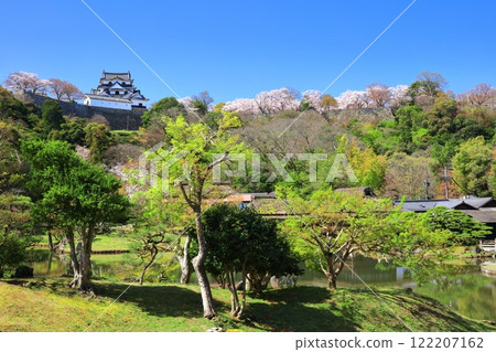 [Shiga Prefecture] Hikone Castle tower and Genkyuen Garden with cherry blossoms in full bloom 122207162