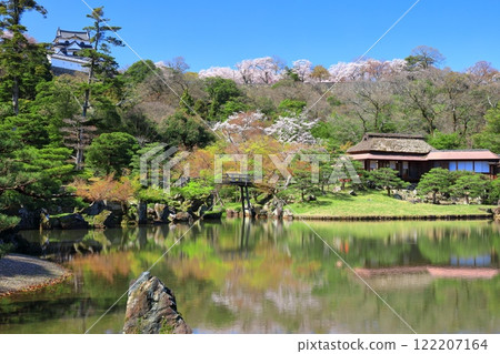 [滋賀縣]彥根城天守閣和櫻花盛開的玄宮園 122207164