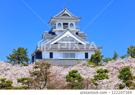 [Shiga Prefecture] Nagahama Castle tower and cherry blossoms in full bloom on a clear day (Toyo Park) 122207169