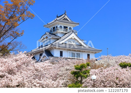 [滋賀郡] 長濱城天守閣和晴天盛開的櫻花（東洋公園） 122207170