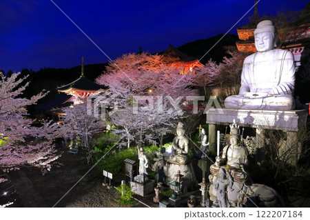 [奈良縣]櫻花盛開的坪坂寺夜景（櫻花大佛） 122207184