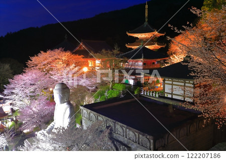 [奈良縣]櫻花盛開的坪坂寺夜景（櫻花大佛） 122207186