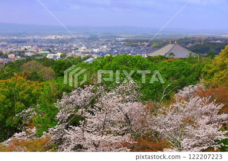 [奈良縣]從若草山看到盛開的櫻花和東大寺 122207223