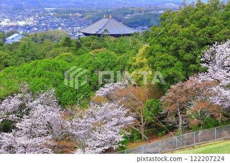 [奈良縣]從若草山看到盛開的櫻花和東大寺 122207224