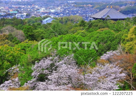 [奈良縣]從若草山看到盛開的櫻花和東大寺 122207225