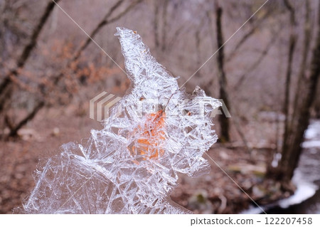 Thin ice and fallen leaves 122207458