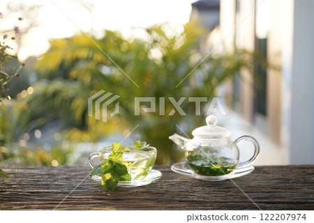 Persicaria odorata Vietnamese coriander tea in a glass pot and cup Persicaria odorata Vietnamese coriander tea in a glass pot and cup 122207974