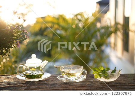 Persicaria odorata Vietnamese coriander and lemon balm tea in a glass pot and cup Persicaria odorata Vietnamese coriander and lemon balm tea in a glass pot and cup 122207975