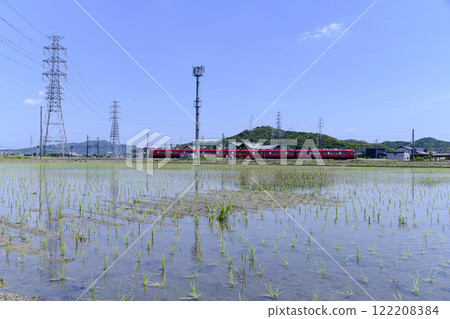 A rural landscape immediately after planting in Nishio City, Aichi Prefecture A rural landscape immediately after planting in Nishio City, Aichi Prefecture 122208384