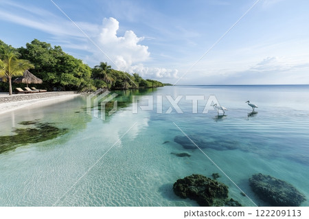 Serenity at sunrise as elegant herons wade through tranquil waters of a secluded tropical paradise. Generative AI 122209113