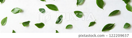 Green paper origami leaves arranged in a row banner 122209637