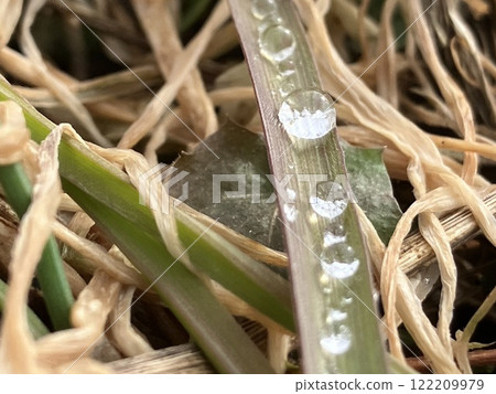 Water drop of morning dew 122209979