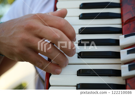 Hand On The Vintage Accordion  122210086