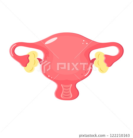 Illustration of a Uterus with ovaries in cartoon style on white background Illustration of a Uterus with ovaries in cartoon style on white background 122210163