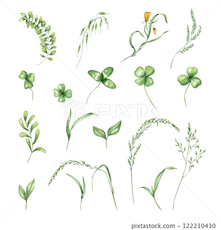 Field green herbs, flowers, clover leaves, blades of grass watercolor illustration clip art. Hand drawn leaf plant set. Floral elements for greeting card, St. Patrick day holiday, wedding invitation Field green herbs, flowers, clover leaves, blades of grass watercolor illustration clip art. Hand drawn leaf plant set. Floral elements for greeting card, St. Patrick day holiday, wedding invitation 122210430