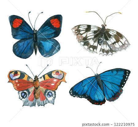 Set of bright butterflies painted with watercolors by hand. Peacock butterflies, nymphalid, Morpho painted and isolated on white background. For printing on fabric, paper, for cards and invitations. Set of bright butterflies painted with watercolors by hand. Peacock butterflies, nymphalid, Morpho painted and isolated on white background. For printing on fabric, paper, for cards and invitations. 122210975