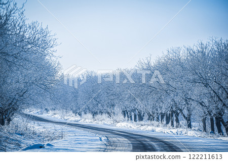 road in winter road in winter 122211613