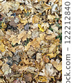 Colorful autumn leaves blanket the ground in a forested area during peak foliage season. Vertical background 122212840