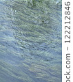Gentle ripples on a lake with algae surface reflecting nature's tranquility in a serene environment. Vertical background 122212846