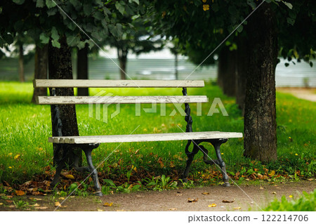 Serenity on a park bench surrounded by lush greenery and tranquil pathways during a sunny afternoon 122214706