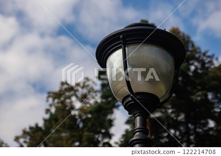 Beautiful vintage street lamp under a cloudy sky in a lush green park during late afternoon light 122214708