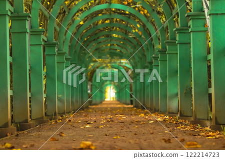 Vibrant green arches creating a serene pathway at Arkhangelskoye estate during autumn 122214723