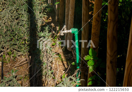 Green Garden Water Tap with Rustic Wooden Fence 122215650