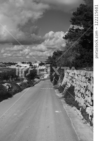 Sunny Road with Green Fields and Open Blue Skies balck and withe image  122215681