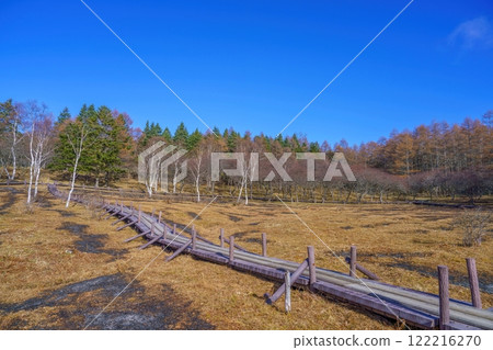 藍天映襯下的入笠濕地深秋景象 藍天映襯下的入笠濕地深秋景象 122216270