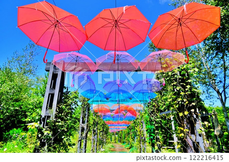 Ecorin Village Umbrella Sky Scenery (Eniwa City, Hokkaido) 122216415