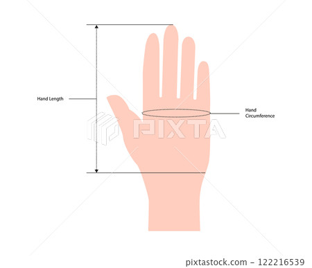 Diagram of measuring hands for Gloves, mittens, mitts nude cartoon Fashion accessory clothing technical illustration.  122216539