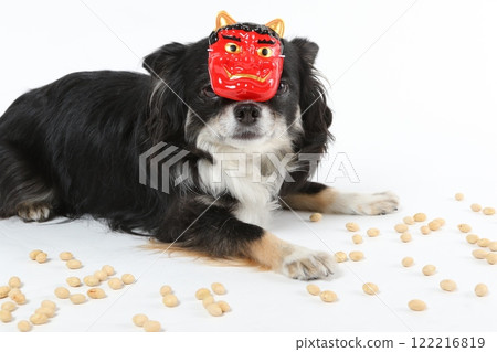 A black Chihuahua wearing a Setsubun mask and bean-throwing A black Chihuahua wearing a Setsubun mask and bean-throwing 122216819