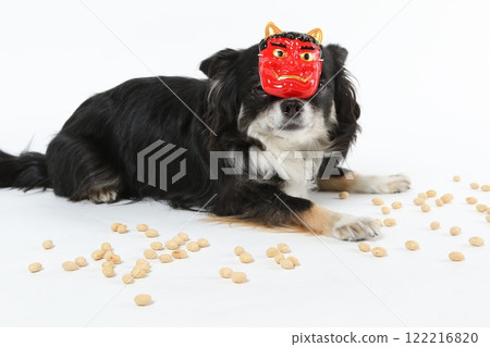 戴著節分面具、丟豆子的黑色吉娃娃 戴著節分面具、丟豆子的黑色吉娃娃 122216820