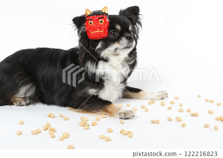 A black Chihuahua wearing a Setsubun mask and bean-throwing 122216823