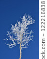 A tree 122216838